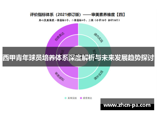 西甲青年球员培养体系深度解析与未来发展趋势探讨