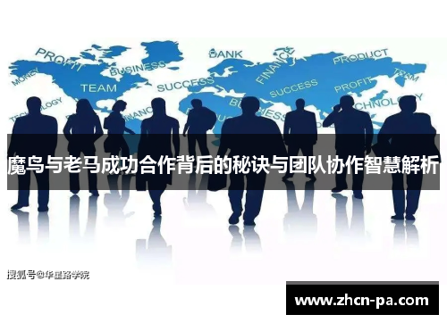 魔鸟与老马成功合作背后的秘诀与团队协作智慧解析