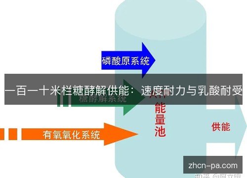 一百一十米栏糖酵解供能：速度耐力与乳酸耐受